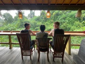 Hosté ubytování WW Backpackers