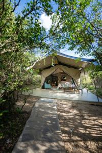 Fotografie z fotogalerie ubytování Olkinyei Mara Tented Camp v destinaci Talek