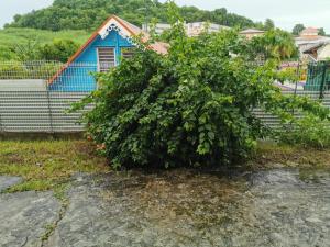 Aed väljaspool majutusasutust Anais Loc