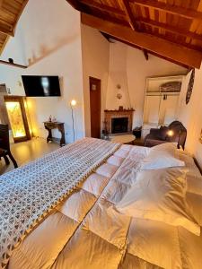 Fotografie z fotogalerie ubytování Loft Pucci v destinaci Monte Verde