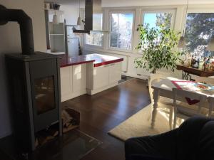Kuchyň nebo kuchyňský kout v ubytování Ferienwohnung Buchbergblick