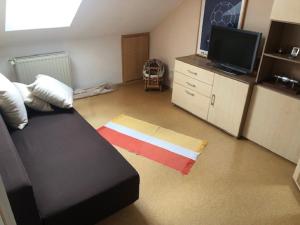 TV a/nebo společenská místnost v ubytování Ferienwohnung Buchbergblick