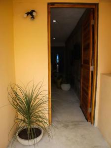 Fotografie z fotogalerie ubytování Cozy Tropical Suite for 1-4 Pp in Isla Mujeres v destinaci Isla Mujeres