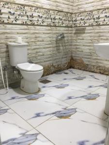 un bagno con un water e un lavandino di Eljoker pyramids hostel a Il Cairo