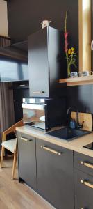 Kuchyň nebo kuchyňský kout v ubytování Domek Ponad Mgłami