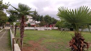 una fila de palmeras en un parque en Bayramoğlu Suite, en Darıca