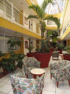 Gallery image of Hotel Mediterraneo Sa De Cv in Tulancingo