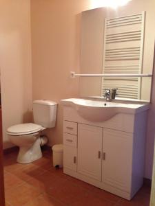 un bagno con un lavandino bianco e un water di Maison De Caractère En Pierre cal Batlle a Saint-Pierre-dels-Forcats Altre 4 foto