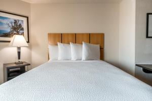 Postel nebo postele na pokoji v ubytování Sonesta Simply Suites Fort Worth