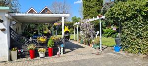 una tienda de jardinería con flores y plantas. en Ferienwohnung Prinz, en Lathen