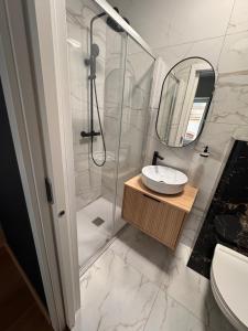 a bathroom with a shower and a sink and a mirror at Šeherezada Rooms in Ljubljana
