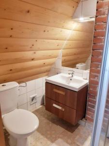 Kúpeľňa v ubytovaní Domek u Jantka