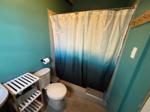 un bagno con wc, lavandino e doccia di Lascar 31 a San Pedro de Atacama Altre 35 foto