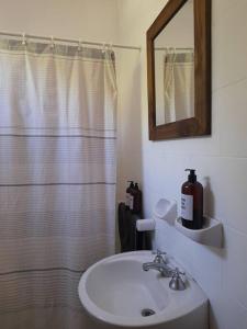 Un baño con lavabo y ducha con espejo. en Barrio cívico, en Mendoza 11 fotos más