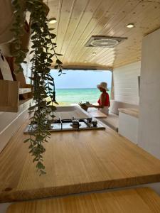 摩亚La Pepa Van的一个带植物桌子的厨房