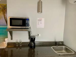 Eine Mikrowelle steht auf der Arbeitsfläche neben einem Spülbecken. in der Unterkunft Blue MYNOC in Rosarito