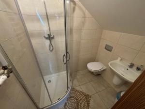 a bathroom with a shower and a toilet and a sink at Pod Parkanami in Spiczyn