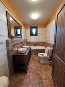 a bathroom with a toilet and a sink and a tub at Roubenka Na Číně in Želiv +21 photos