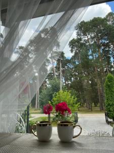 Zahrada ubytování Kulautuva Park Apartments