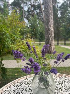 Zahrada ubytování Kulautuva Park Apartments