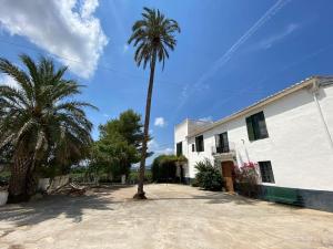 Casa Rural Huerto del Carmen في Puebla Larga: منزل فيه نخلة بجانب مبنى