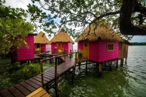 a row of pink houses on the water at Urraca Monkey Island Eco Resort in Buena Vista