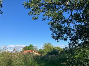 a house in the middle of a field with trees at Haixpia, Les Chambres d'Hôtes in Hasparren