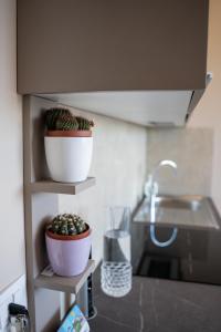 a kitchen with two potted plants on shelves at Freedom in SantʼAntonio Abate +103 photos