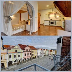 Kuchyň nebo kuchyňský kout v ubytování Apartmány Třeboň BÍLÝ BERÁNEK