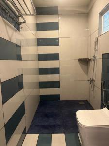 a bathroom with a shower and a toilet at Golden hills cottage in Viripara