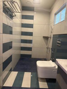 a bathroom with a toilet and a sink at Golden hills cottage in Viripara