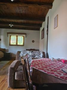 a bedroom with a bed and a couch in a room at Apartments Kuvarna in Čigoč