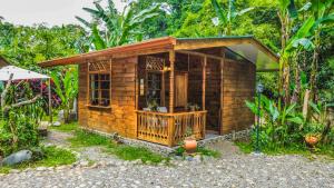 卡维塔Ú Sulè的森林中间的小木屋