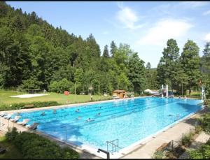 a large swimming pool with people swimming in it at Sumeja Residence in Triberg