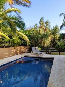 Modern Beach Villa Pool Ocean Views Terrace BBQ Villa Vista Real في بلايا ديل كارمن: مسبح فيه كرسي و نخلة