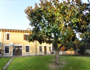 ヴェローナにあるLa Magnoliaの家庭の橙の木