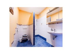 a bathroom with a toilet and a sink at Apartment Kleine Auszeit Eifel in Udler