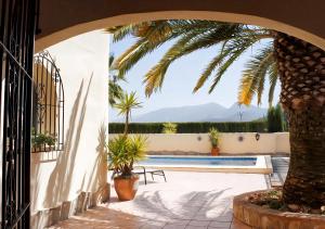 a courtyard with a palm tree and a swimming pool at Villa Lobos in Lliber