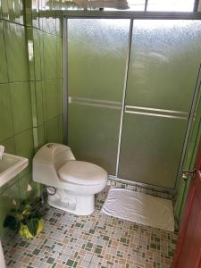 un baño con inodoro y ducha en Casa anturio 2, en Fortuna 3 fotos más