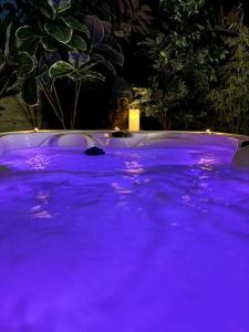 Sundlaugin á Gîte Studio Alsa 15 avec Jacuzzi privatif eða í nágrenninu
