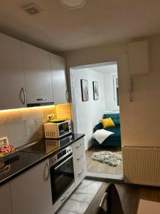 Kuchyň nebo kuchyňský kout v ubytování Apartman Hana