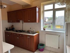 a kitchen with wooden cabinets and a sink and a window at Вілла Львів in Skhidnitsa