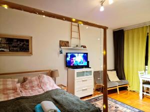 Televízia a/alebo spoločenská miestnosť v ubytovaní Brand new cosy apartment
