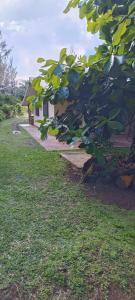 Φωτογραφία από το άλμπουμ του Fare NATIHERE Huahine 3 σε Maroe