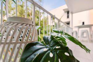 Afbeelding uit fotogalerij van Melaleuca Hideaway - Beach Pool free parking in Yorkeys Knob +23 foto's