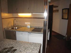 Kuchyň nebo kuchyňský kout v ubytování Apartamentos Grifo Vacances Grizzly + 37 fotografií