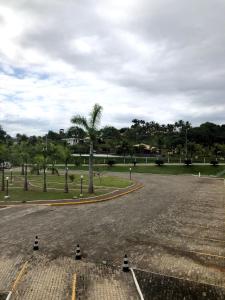 ein leerer Parkplatz mit einer Palme in der Mitte in der Unterkunft Flat Village - Aldeia das águas in Sapucaia + 9 Fotos