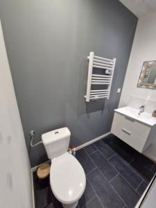 a bathroom with a white toilet and a sink at Studio Canada 3 in Valenciennes