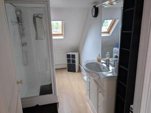 a bathroom with a sink and a shower and a mirror at Seine-Front Apt in Stone House with parking and garden, Lacroix Island in Rouen