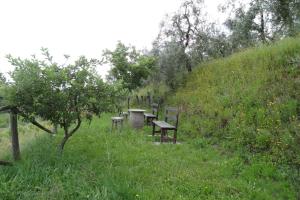 Vonkajšia záhrada v ubytovaní Holiday home Cerbaiola, Lamporecchio